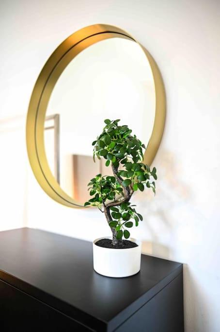 Appartement Moderne In Ruhiger Umgebung Nahe Messe Berlin